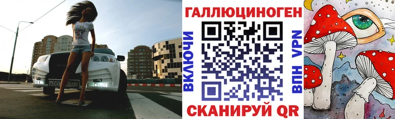 мега ссылки  Энгельс  Псилоцибиновые грибы мухоморы 