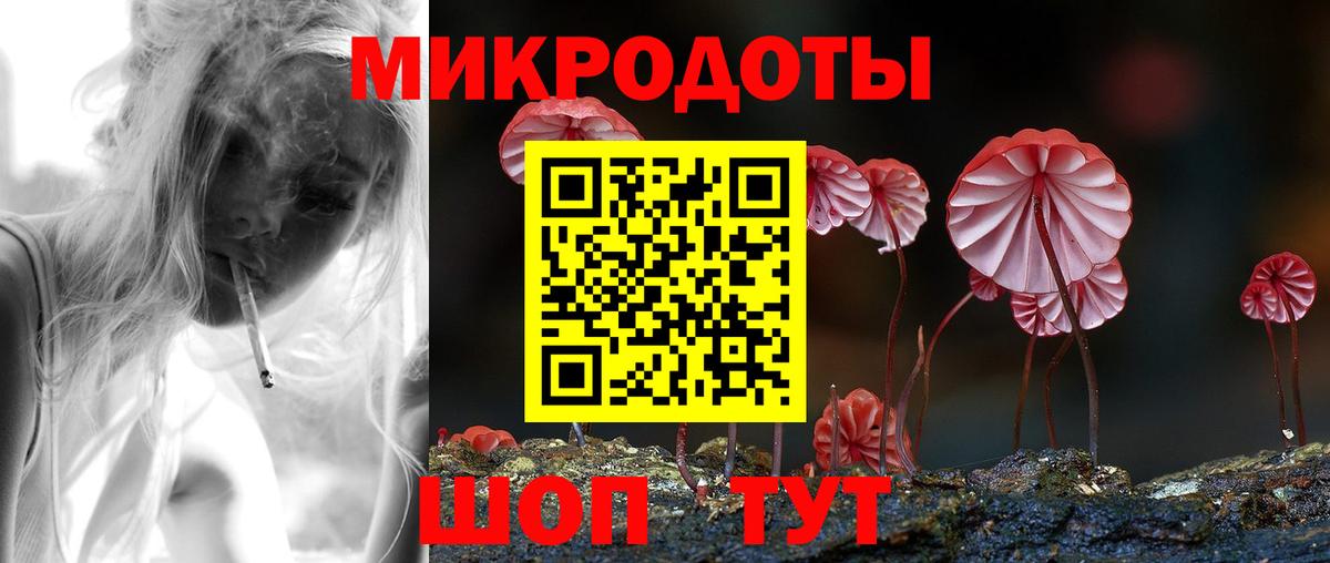Энгельс  Галлюциногенные грибы прущие грибы  что такое   Вход с VPN  Галлюциногенные грибы Psilocybine cubensis 